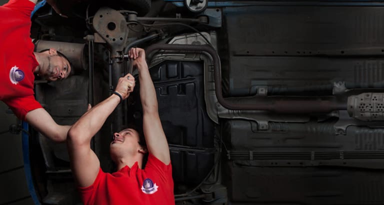 Logo Shirts and Hoodies