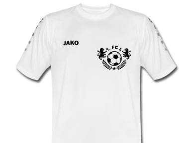 Jako Fußball Trikot mit Vereinslogo