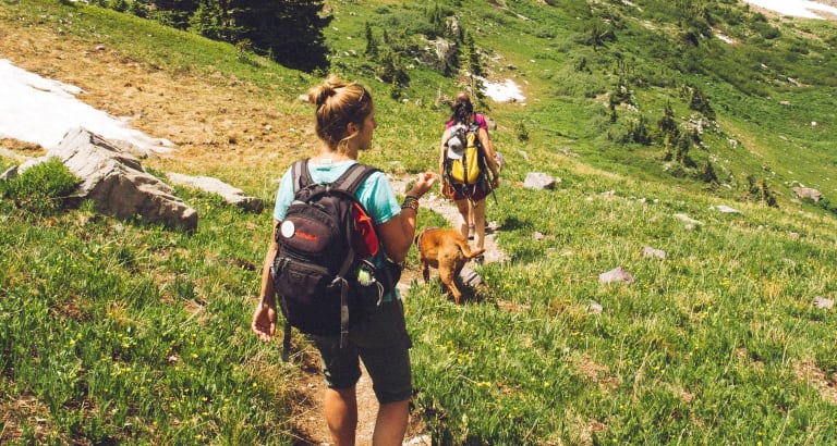 Warum Wandern im Herbst gesund ist