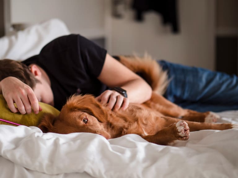 urlaub zu hause, mann und hund auf dem bett