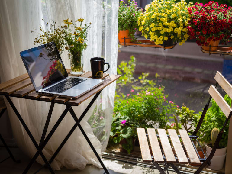 bienenfreundlicher balkon tipps