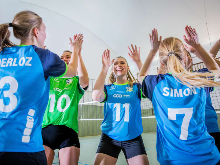 guide du sport, l'equipe volley-ball