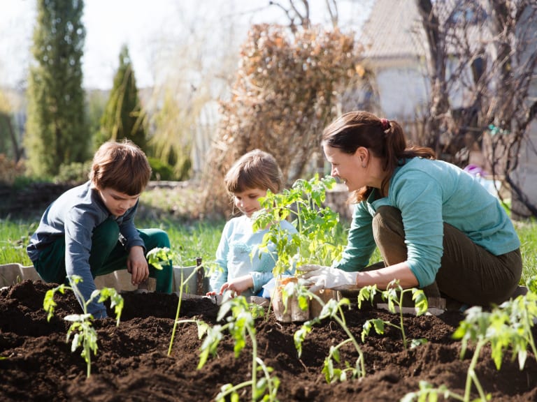 kleingarten, schrebergarten, mutter mit zwei kindern im garten