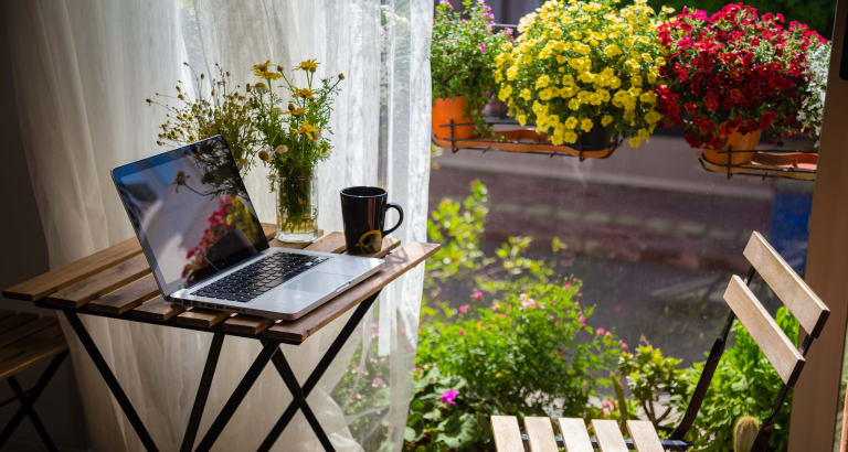 Wichtige Tipps für bienenfreundliche Balkonpflanzen