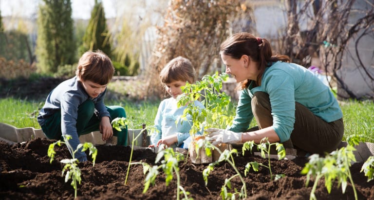 10 Gründe für einen Schreber- oder Kleingarten