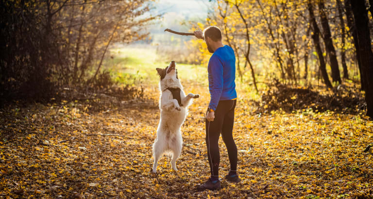 Mit Bewegung und gesunder Ernährung fit durch den Herbst