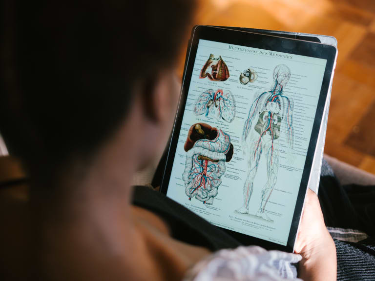 studentin lernt anatomische begriffe auf tablett
