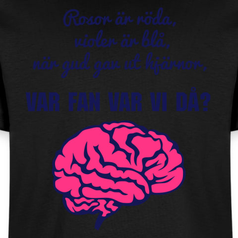 klasströjor - VAR FAN VAR VI DÅ?