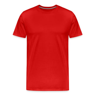 Organic T-shirt Ekologisk premium-T-shirt herr