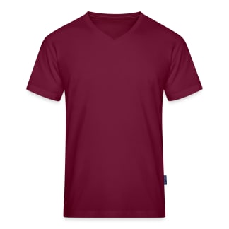 Men's Organic V-Neck T-Shirt