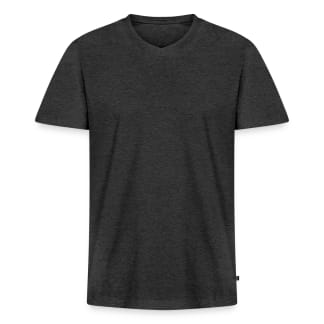 Mannen Premium Bio T-shirt met V-hals
