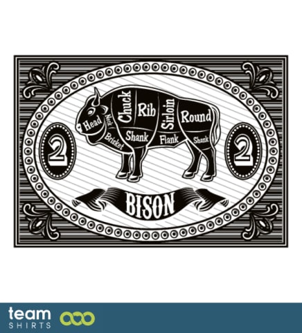 Bison