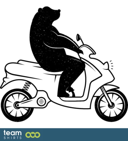 Bear on a scooter