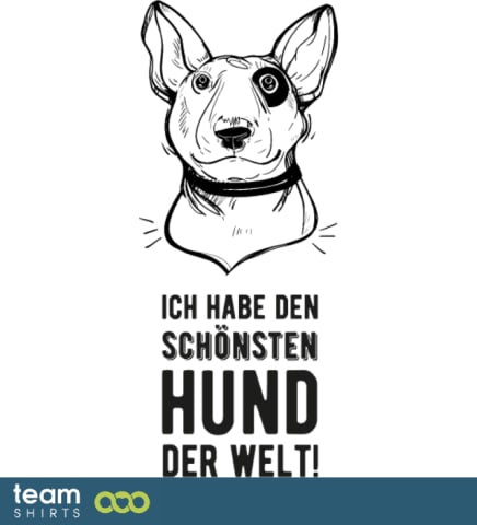 Schönster Hund