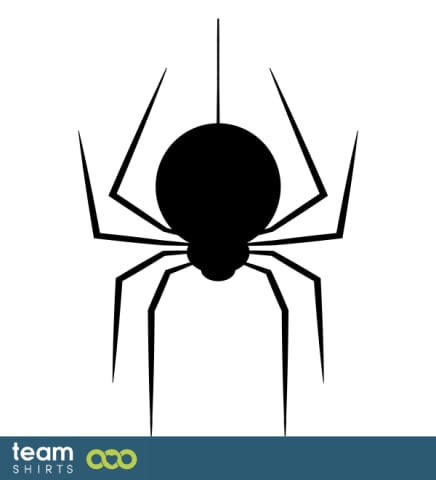 Spinne