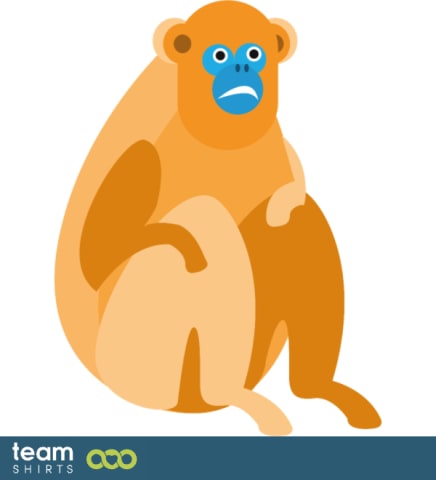 Golden snub-nosed monkey