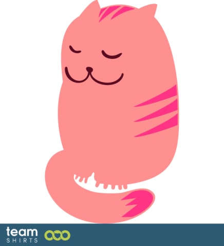 søt katt