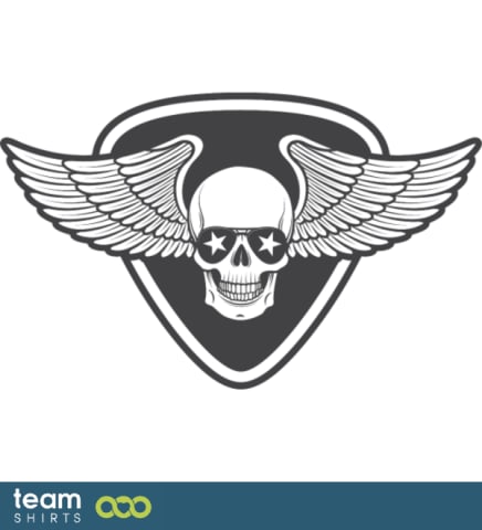 SKULL WITH WINGS ON PICK