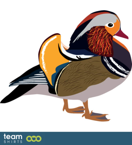 Mandarin duck