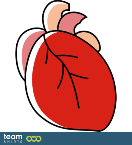 Anatomiskt hjärta