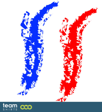 vintage flag of France