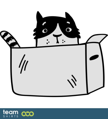 Kat i en kasse