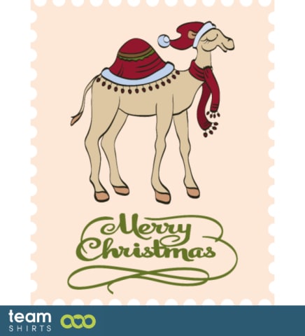joulun Camel