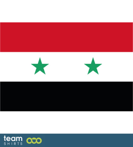 flagg syria