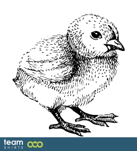 sæsoner occacions vektorpopulation 1222233 Chicken 001