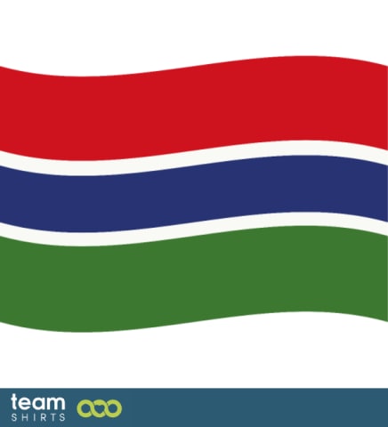 flagg gambia
