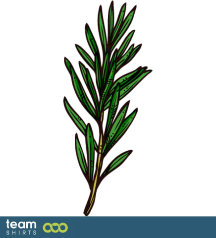 Organisk rosmarin plante