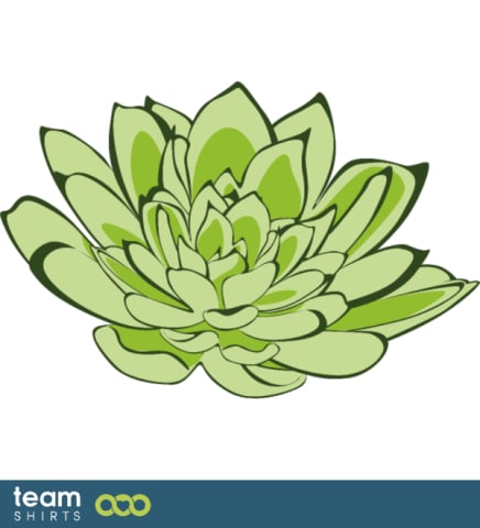 succulent