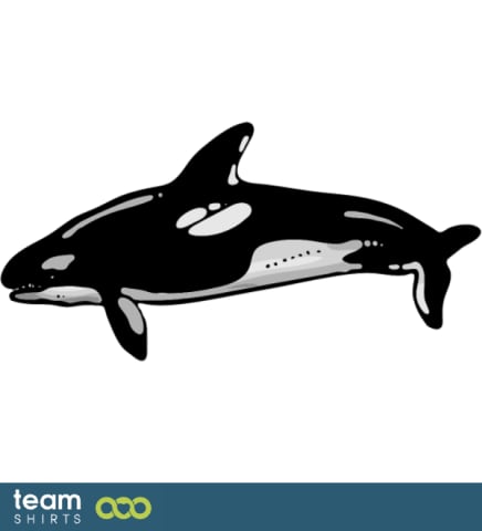 Orca Whale