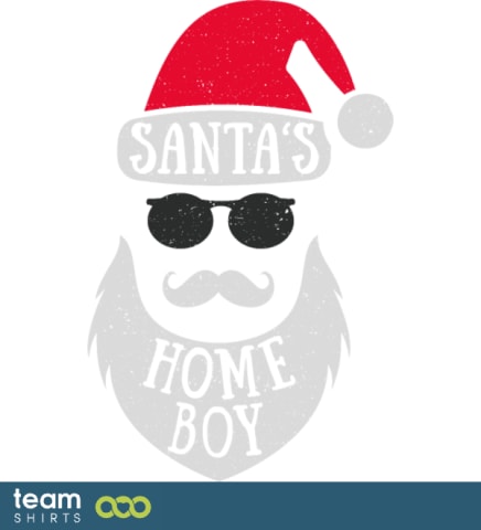 sansa santashomeboy ny