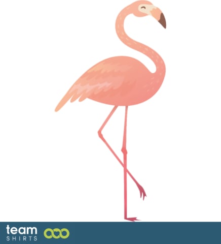 flamingo