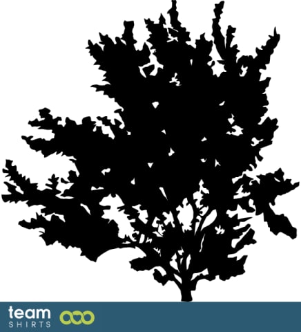 buisson