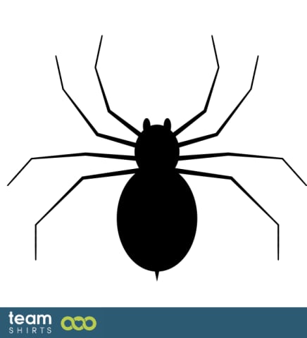 Spinne