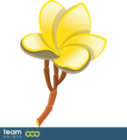 Plumeria