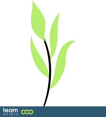 Plante d'herbe