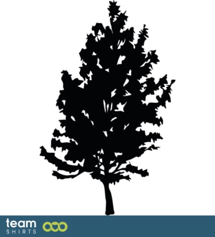 dennenboom