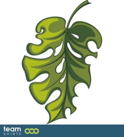 Philodendron blad