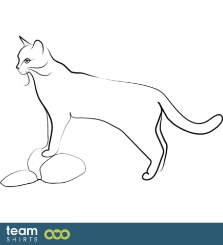 Katze