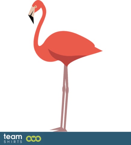 flamingo