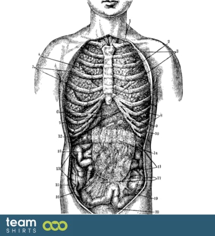 anatominen body