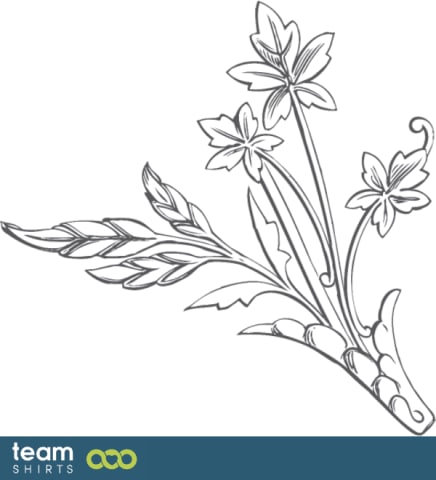 Plante d'herbe