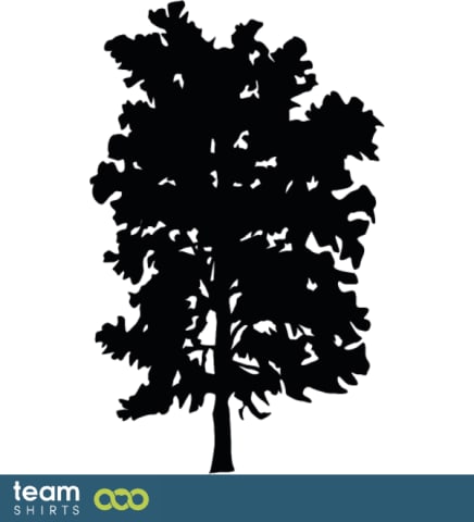 Silhouette de l'arbre