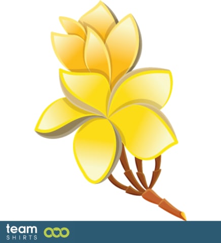 Plumeria