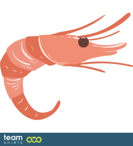 Food vectorstock 10359706 Schrimp 001