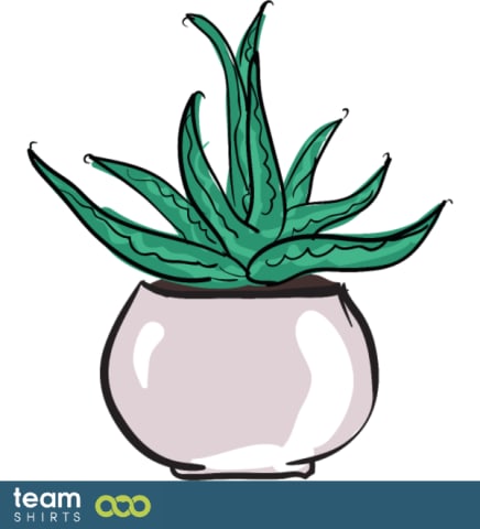 succulent