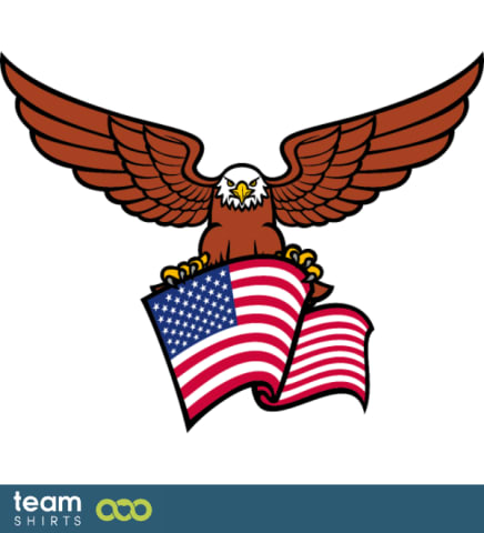 amerikanischer Adler